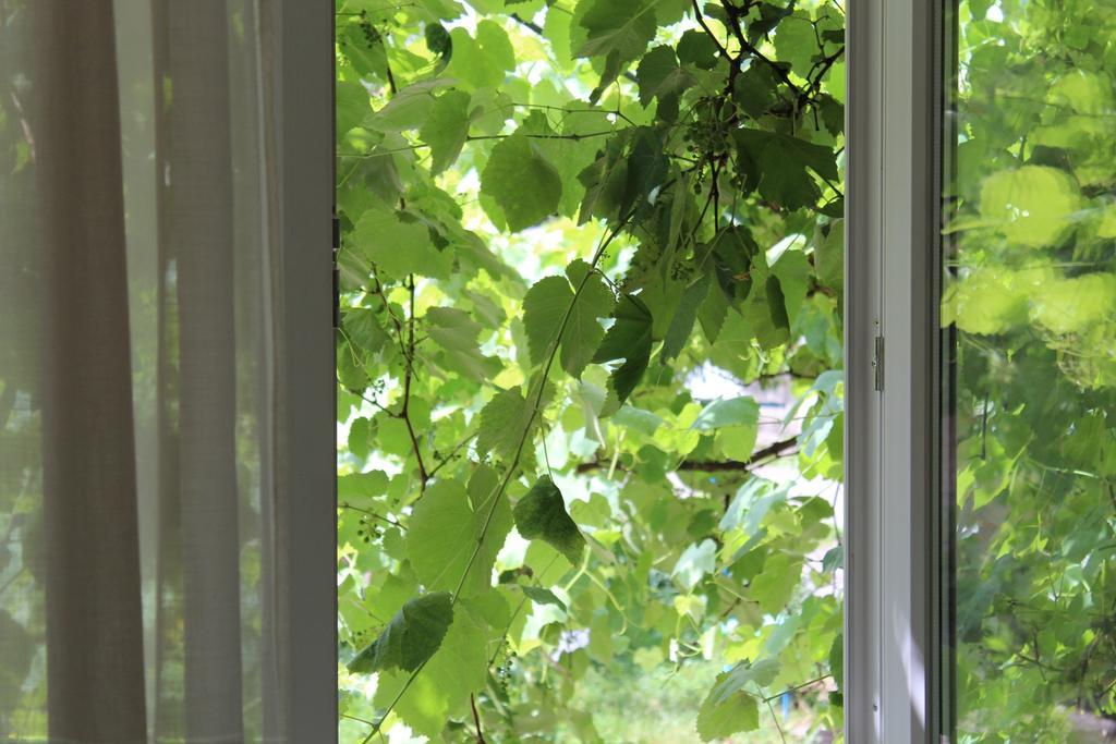 Apartment For Guests With Soul Vinnitsa Eksteriør bilde